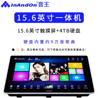 InAndOn/音王K72 15.6英寸一体机内置4TB硬盘 双系统语音点歌机KTV触摸屏一体机家用卡拉OK点唱机