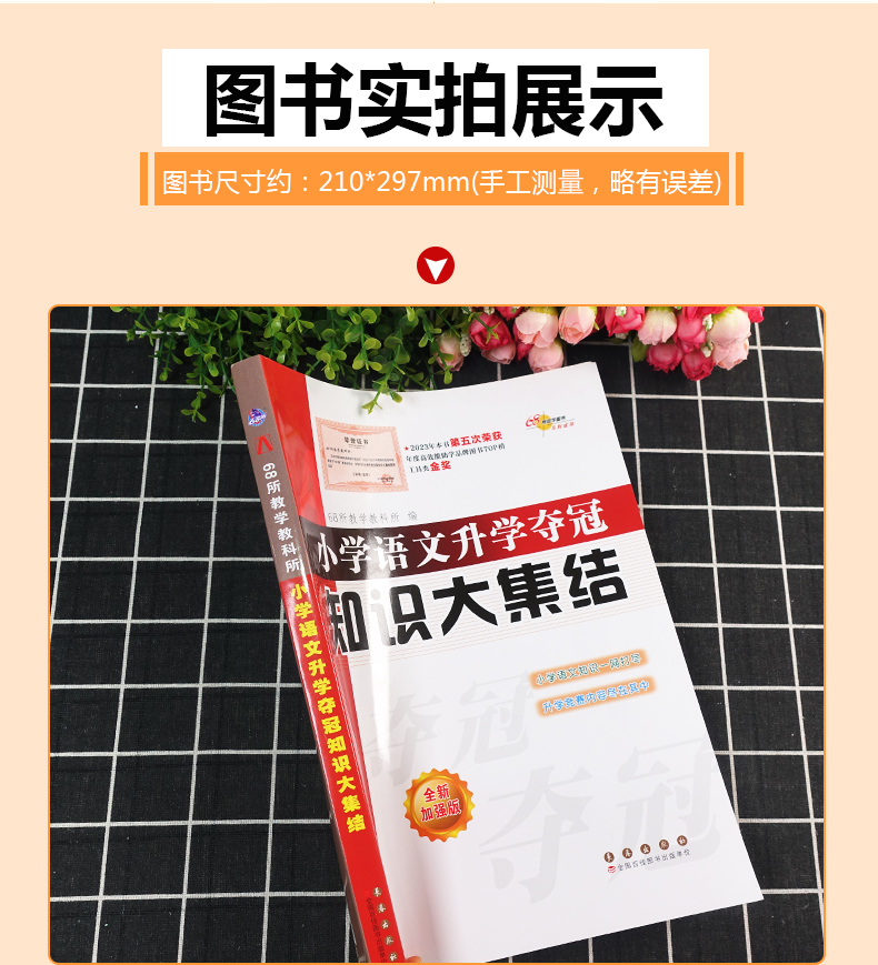 [正版]新版全新升级版共2册小学语文升学夺冠知识大集结+训练A体系 小升初语文总复习资料中小学辅导书小考试辅导工具书知高清大图
