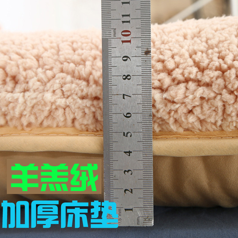 冬季加厚保暖羊羔绒床垫榻榻米学生可折叠床褥子1.5米1.8床单双人