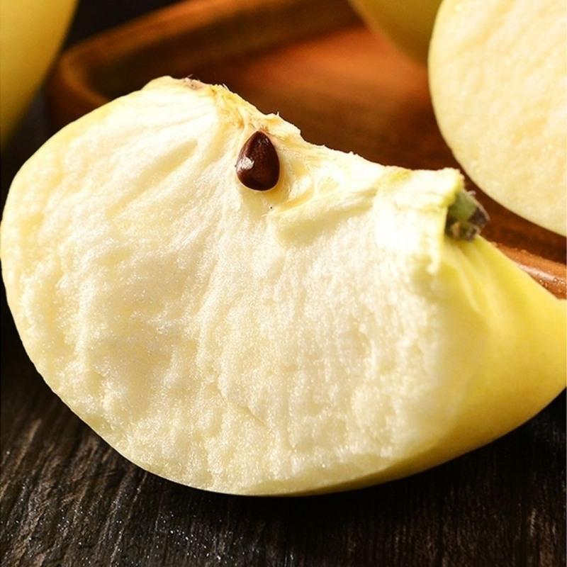 赛卡伊辽宁黄元帅苹果新鲜黄金帅苹果水果10甜粉婴儿刮泥面黄蕉5斤