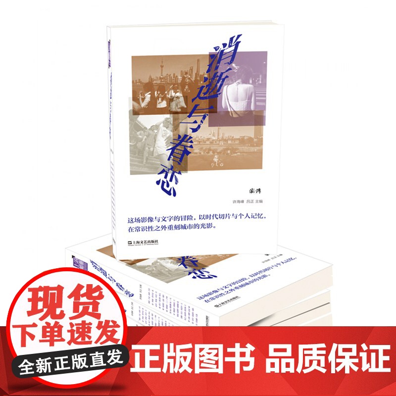 消逝与眷恋 许海峰吕正主编上海文艺出版社高清大图