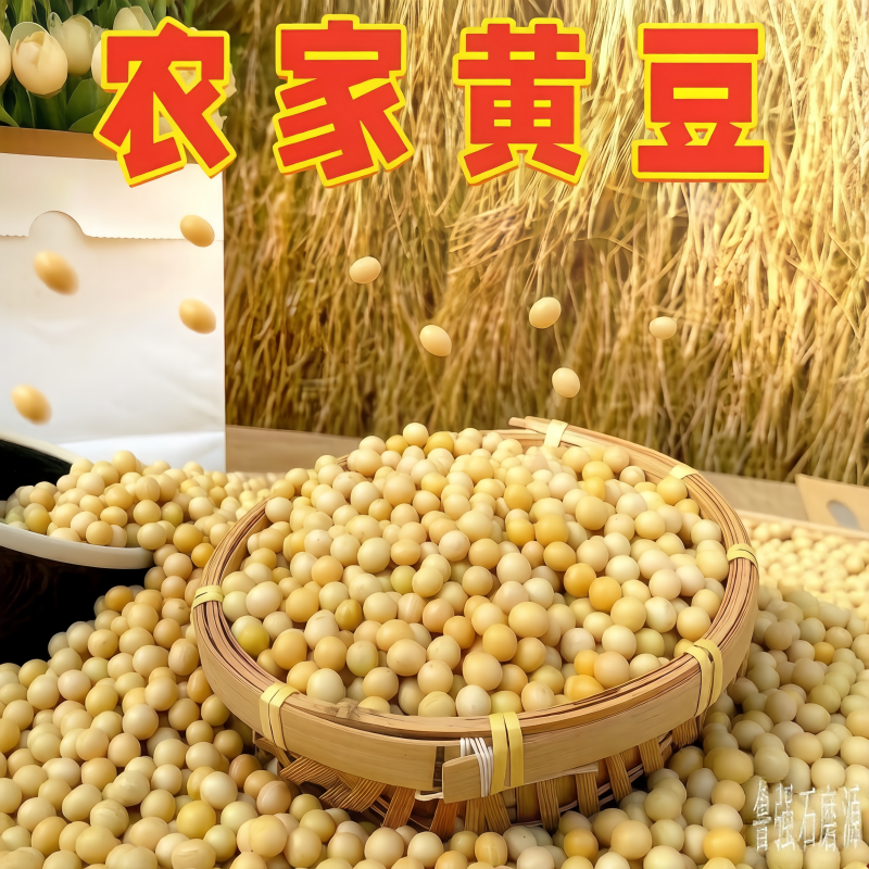 鲁强石磨源黄豆 1kg*2袋 手工挑选 颗粒圆润酥田袋装高清大图