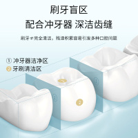 苏宁宜品冲牙器渐变款