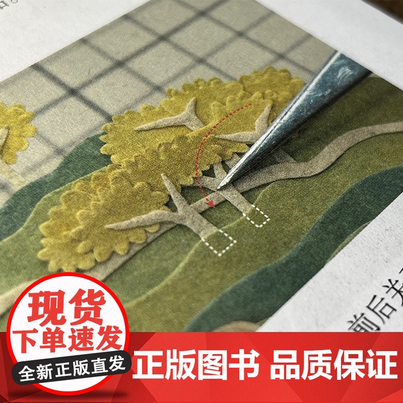 一纸半见 : 方寸之间的手工纸艺 张洁菲著 纸艺作品制作零基础读者保姆式教程高清大图