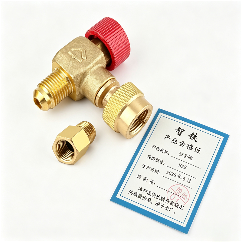 智铁安全阀R22个高清大图