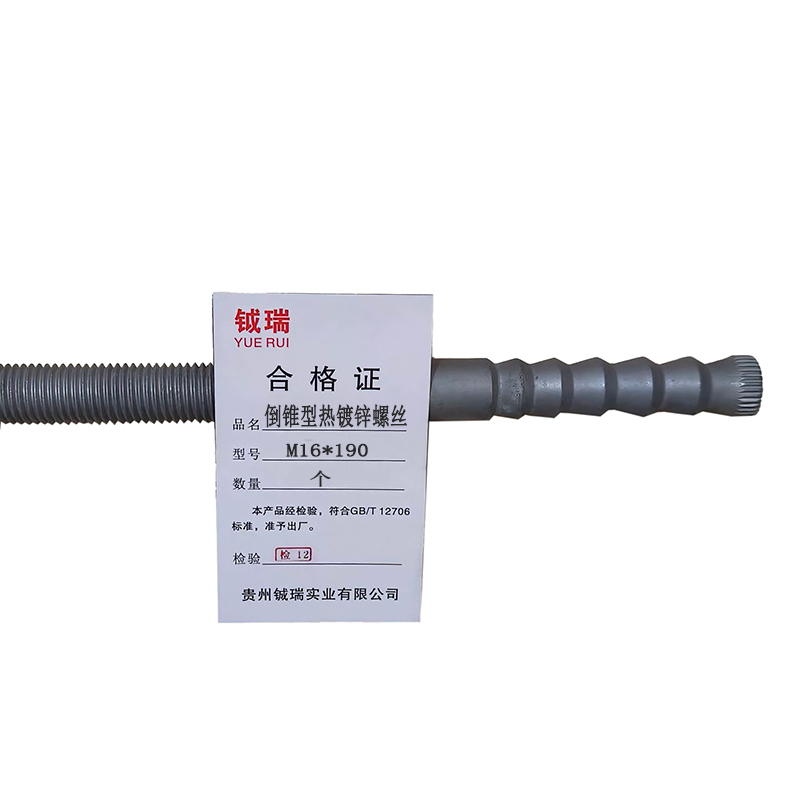 钺瑞倒锥型热镀锌螺丝M16*190/个