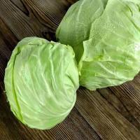 【拍2份9折】10斤现摘新鲜卷心菜绿甘蓝蔬菜椰菜大头菜扁包菜小卷芯菜新鲜蔬菜