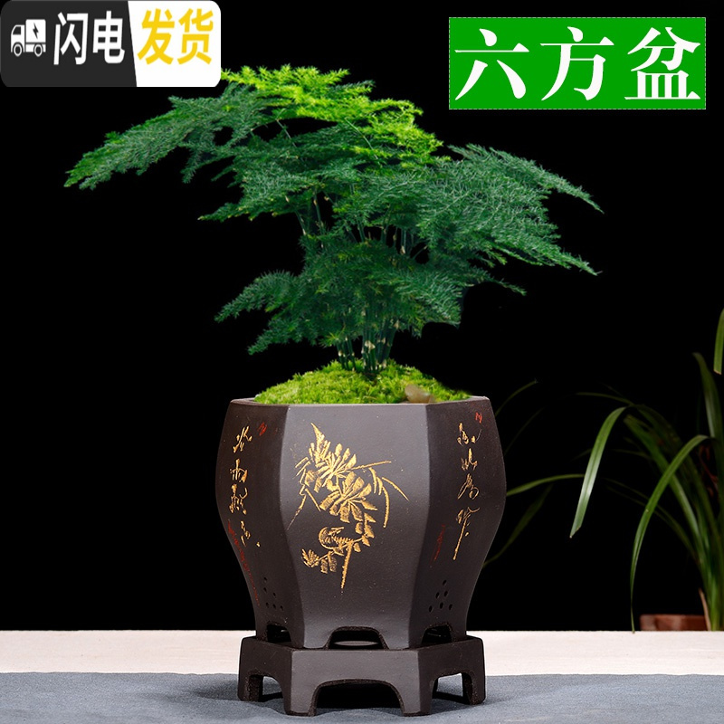 三维工匠宜兴紫砂花盆精品兰花盆室内桌面植物盆君子兰文竹盆陶瓷花盆 四方紫色带底座 大花盆容器高清大图