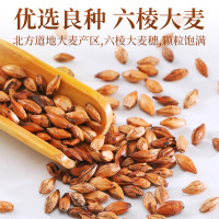 青源堂 大麦茶 310克*2/盒 代用茶