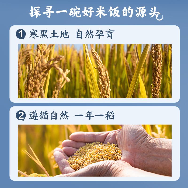 自营酥田东北长粒香大米5kg 东北大米10斤装 当季新米 真空包装图片