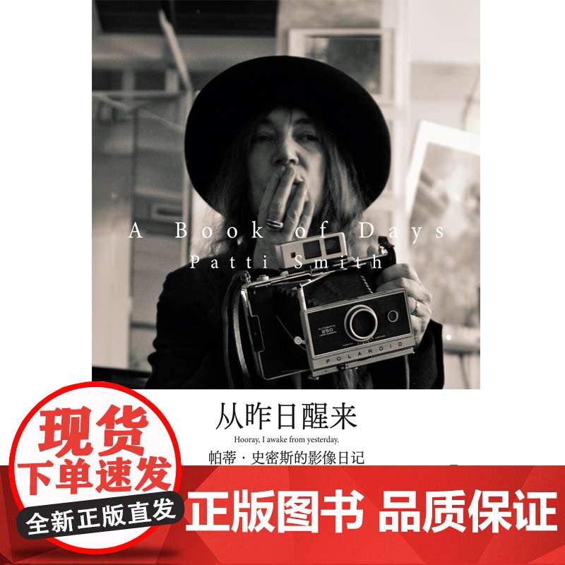 从昨日醒来 : 帕蒂·史密斯的影像日记 摇滚桂冠诗人帕蒂·史密斯新作 胶片与笔墨记下365+1次对生活的致意高清大图