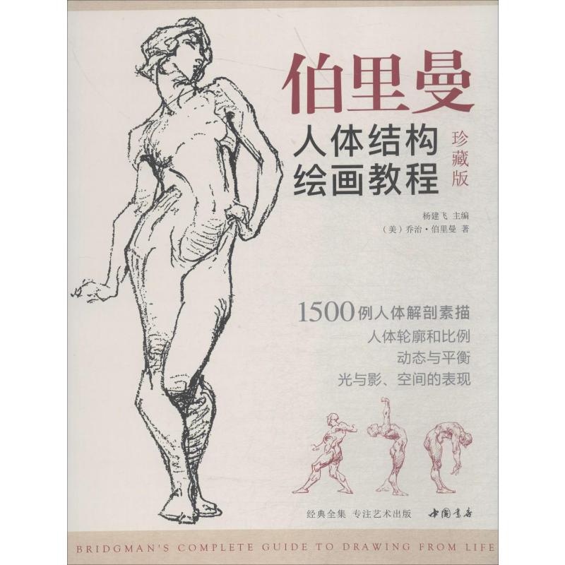 2019珍藏版[送描摹本]伯里曼人体结构教学 人物速写入基础绘画临摹书籍透视技法自学头像美术艺术手绘教材全套_961