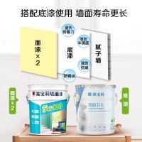 嘉宝莉CARPOLY 内墙乳胶漆 康惠家净味100墙面漆 20kg亚光面漆