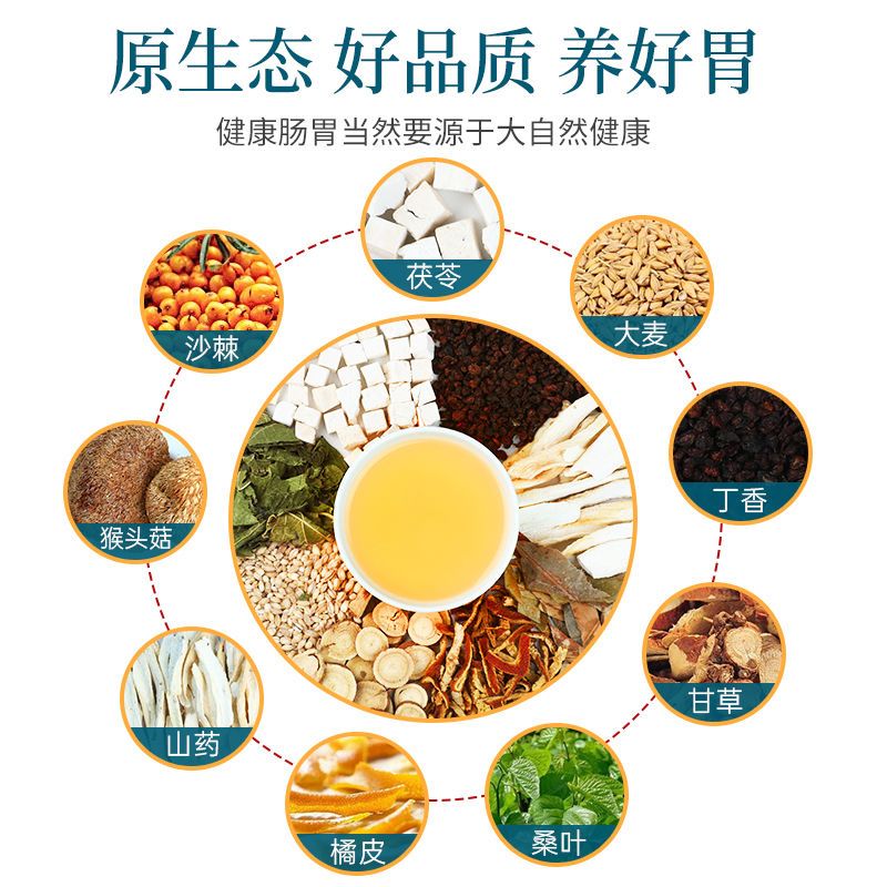 容茗轩南京同仁堂丁香猴头菇沙棘茶160g(4g*40包)袋装T