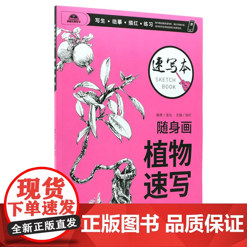随身画速写本 植物速写