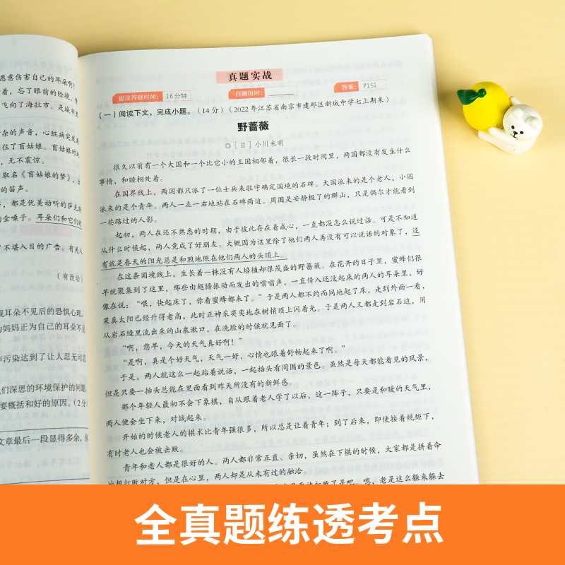 [中考/九年级]阅读理解与答题模板 初中通用 [正版]2024初中语文阅读理解答题模板七年级八年级上下册九年级阅读理解专