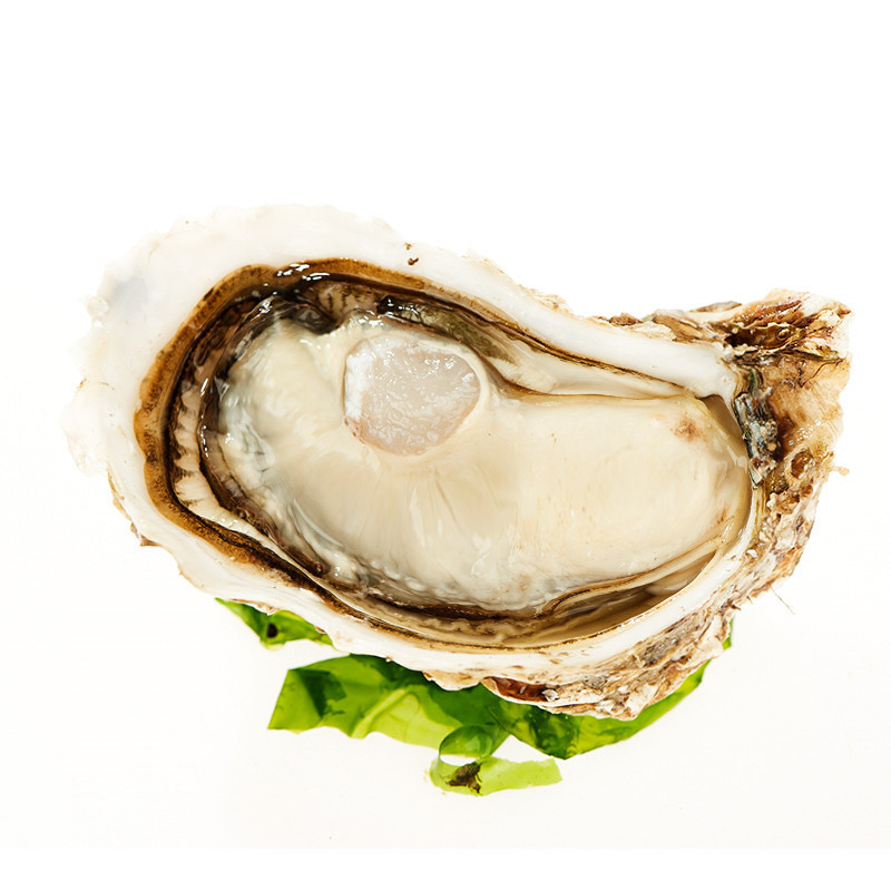 海洋岛HAIYANGDAO 鲍鱼6只(300g)+生蚝6只(1000g) 约1300g国产大连海鲜水产礼盒 礼盒装