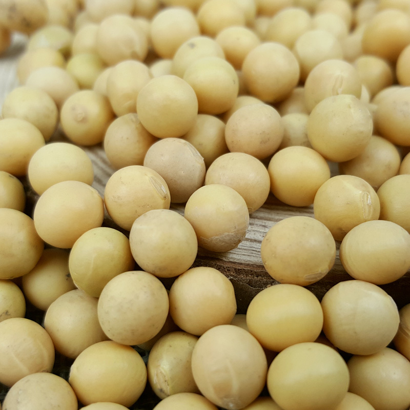 溢田东北杂粮有机黄豆800g 当季新粮 产地直发高清大图