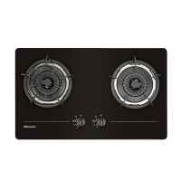 RASONIC RG-233GB-TG 黑色鋼化玻璃雙頭嵌入式煮食爐(煤氣)