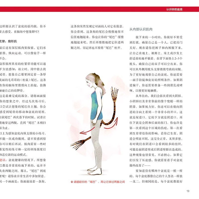 [正版]盆底功能12周康复方案 系统科学的盆底训练方法全书 戴从言李哲女性盆底肌学书籍盆底产后功能修复训练书12周盆底高清大图