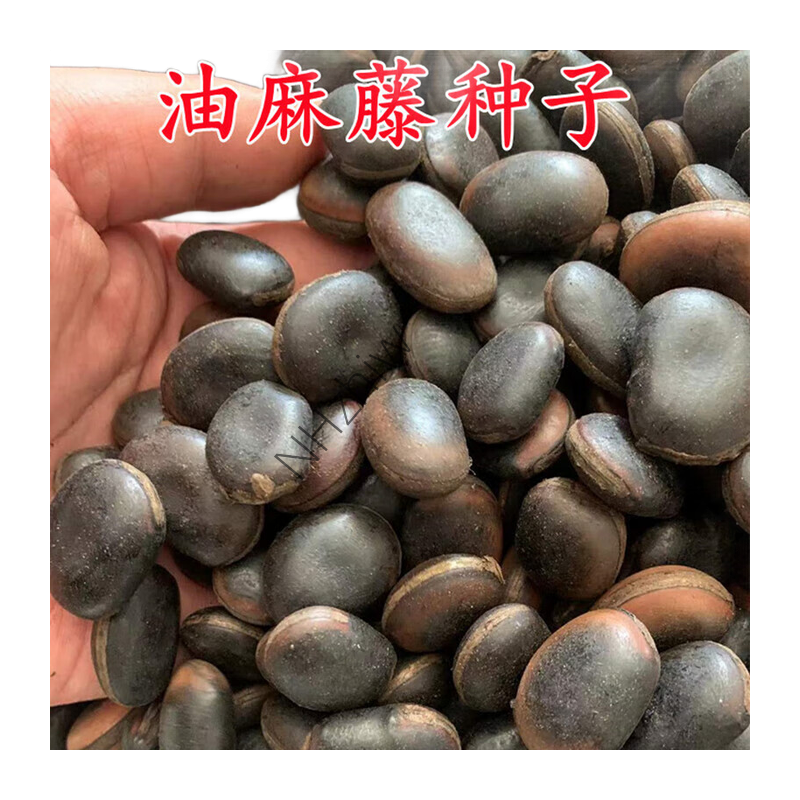 NHzhiw精选优质油麻藤种子1千克