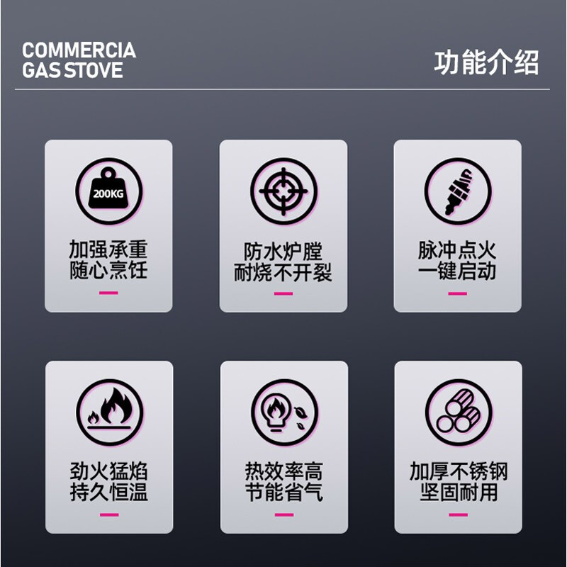乐创(Lecon)商用燃气双头低背矮汤炉 柴油可选酒店厨房企业燃气灶 LC-J-DA2