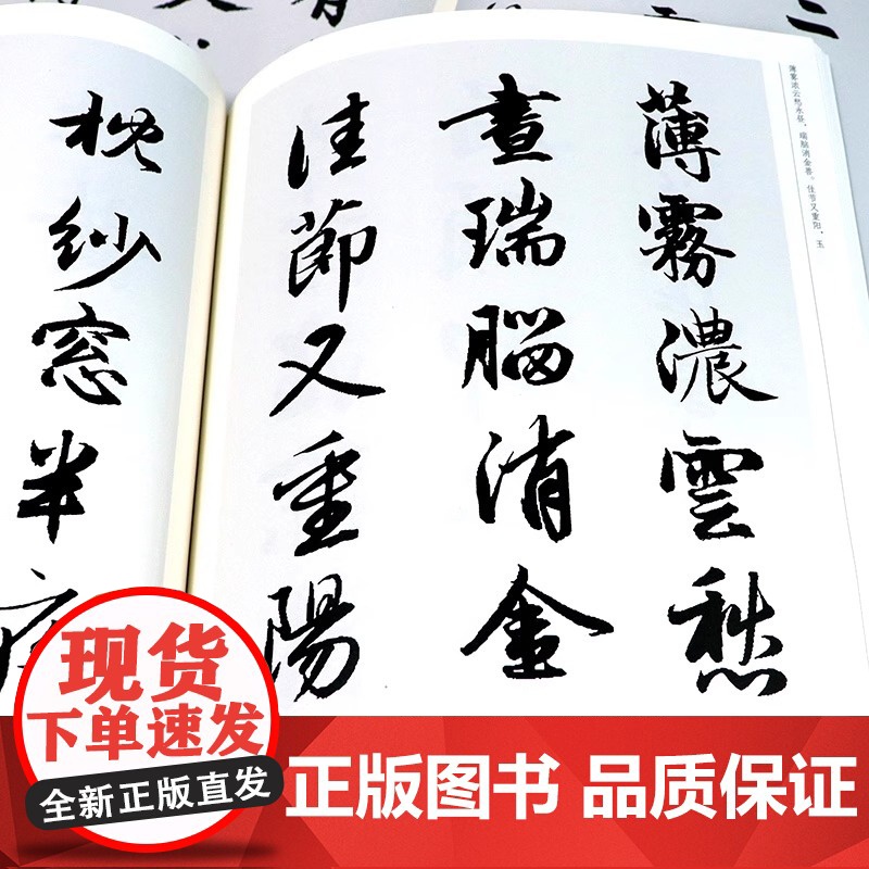全套2册 赵孟頫宋词+唐诗 中国历代书法名家作品集字 繁简对照毛笔临帖集字古诗词赵孟俯行书楷书行草字帖临摹范本大字版人民高清大图