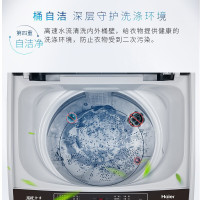 海尔（Haier）洗衣机全自动波轮 直驱变频家用低噪 大神童洗衣机 桶自洁 8公斤
