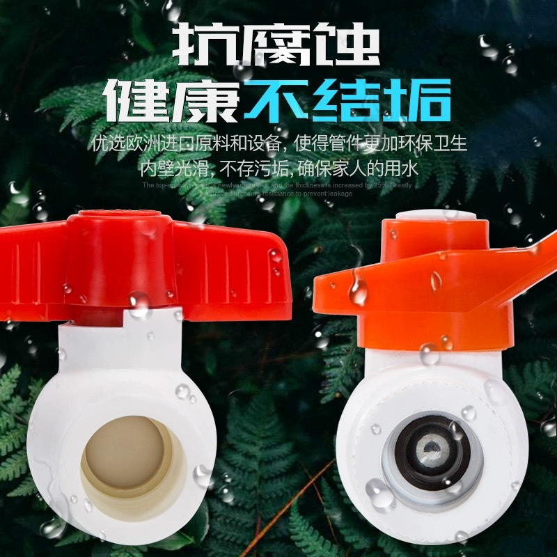 禾润泽 PP-R 球阀 热熔球阀 φ20 个
