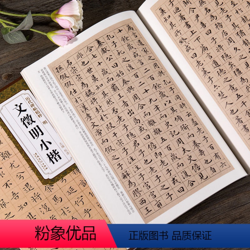 【正版】文徵明小楷 历代碑帖精粹 成人初学者临离骚经赤壁赋小楷书原碑古帖毛笔书法字帖附简体旁注 安徽美术出版社