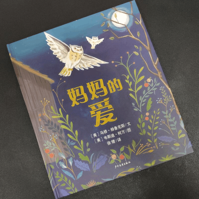 醉染图书妈妈的爱9787558908538图片