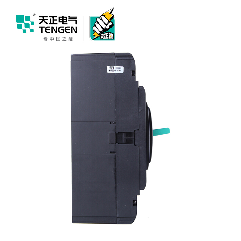 天正电气 TGM1N-400L 50KA 热磁式 400A 3P手动固定式 380V 330021700157塑壳断路器