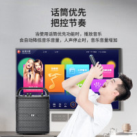 索爱(soaiy)SA-F33手提音响高低音户外k歌大音量广场舞电木吉他乐器音箱直播小型家用音箱 双麦