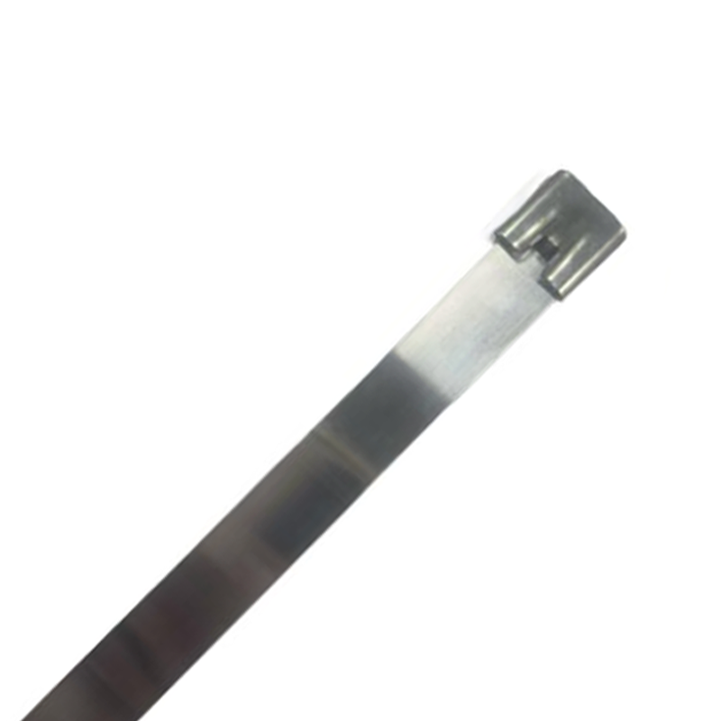 泰炙鼎 不锈钢扎带 19*1600mm 根高清大图