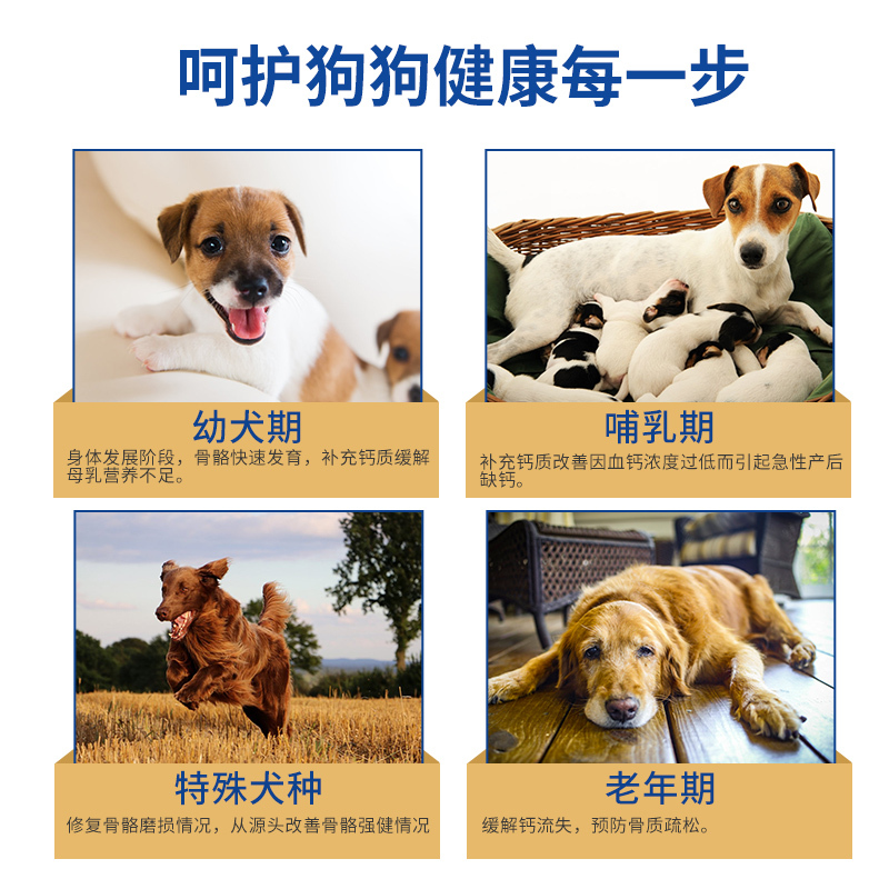 麦富迪宠物营养补充剂犬用乳钙钙片100g狗狗保健品狗用钙片