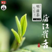 明芽雀舌芽尖绿茶2021新茶四川蒲江明前翠芽春茶嫩芽高山茶原产地罐装500g