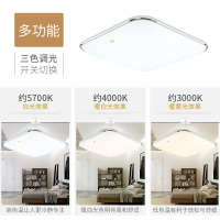 FSL 佛山照明 LED吸顶灯简约现代时尚薄款长方形无极客厅灯双色卧室灯30方
