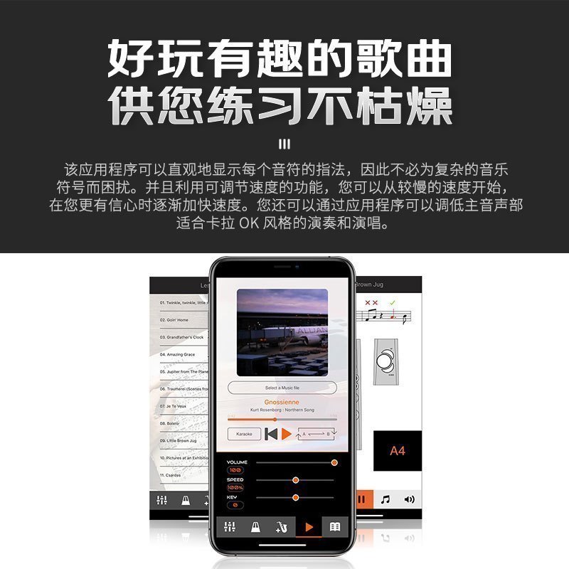 罗兰(Roland)AE-01C电吹管新型电子萨克斯支持蓝牙初学者成人老年人电子管乐