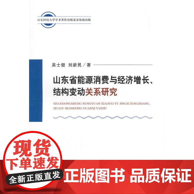 山东省能源消费与经济增长、结构变动关系研究高清大图