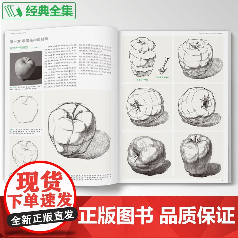 经典全集 [大开本]结构素描静物临摹书籍单体组合绘画大关系透视美术基础技法正版 杨建飞主编sh高清大图