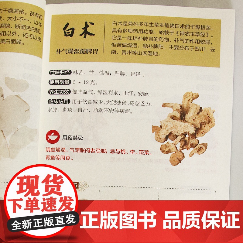 中药方剂轻图典 中药材图鉴大全百科书 中药方剂配伍书籍 常见中药材功效解读中药知识入门中医养生食疗书 对症调理养生药膳食高清大图