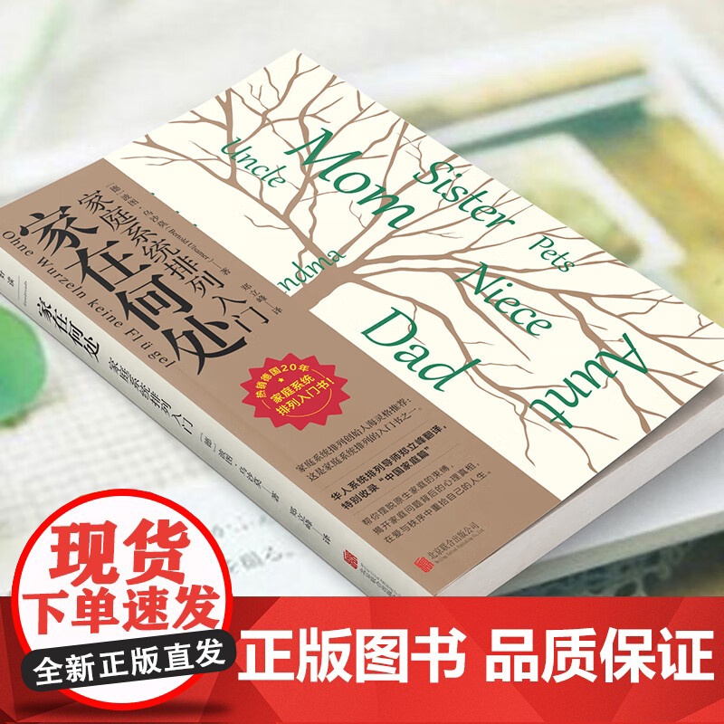 家在何处 家庭系统排列入门 波图·乌沙莫 著 心理学高清大图
