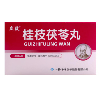 立效 桂枝茯苓丸 4g*6袋/盒