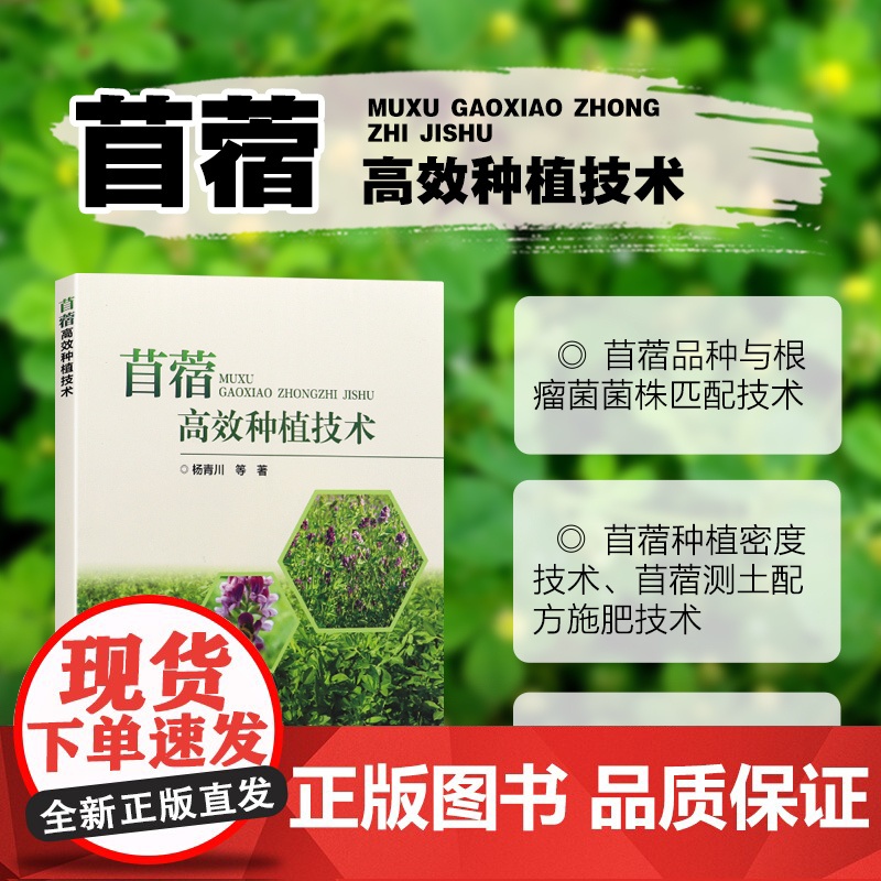 苜蓿高效种植技术 苜蓿良种良法技术指导书 农业牧草种植书籍 苜蓿生产经营管理环保土壤治理人员参考书 中国农业科学技术出版