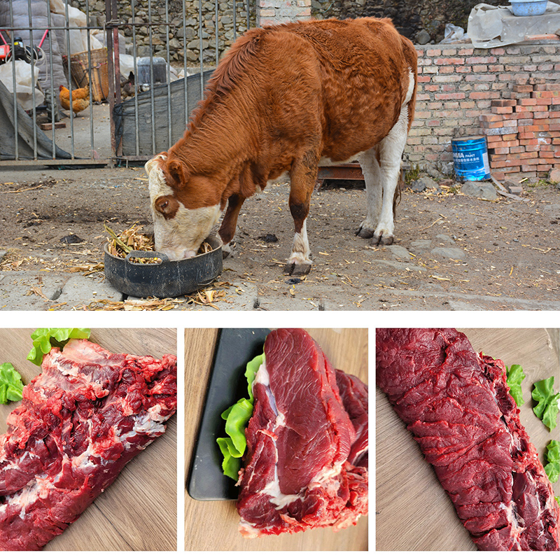 货出六盘 宁夏西吉县谷草饲喂养 六盘山牛肉 精品黄牛 牛吊龙6斤高清大图