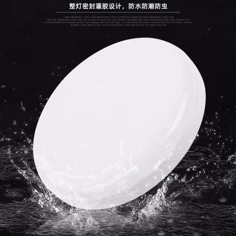 RDZM LED防水防潮灯圆形 RDF9022 三防吸顶灯 套高清大图