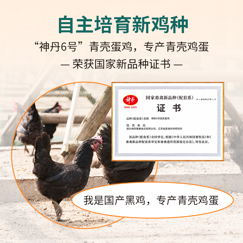 神丹20枚老年鸡蛋高清大图