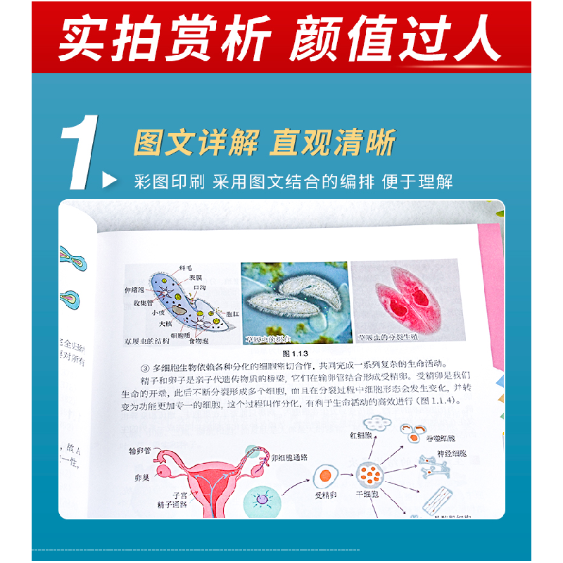 正版新书]高中生物核心知识图文笔记陈培松9787312047145高清大图