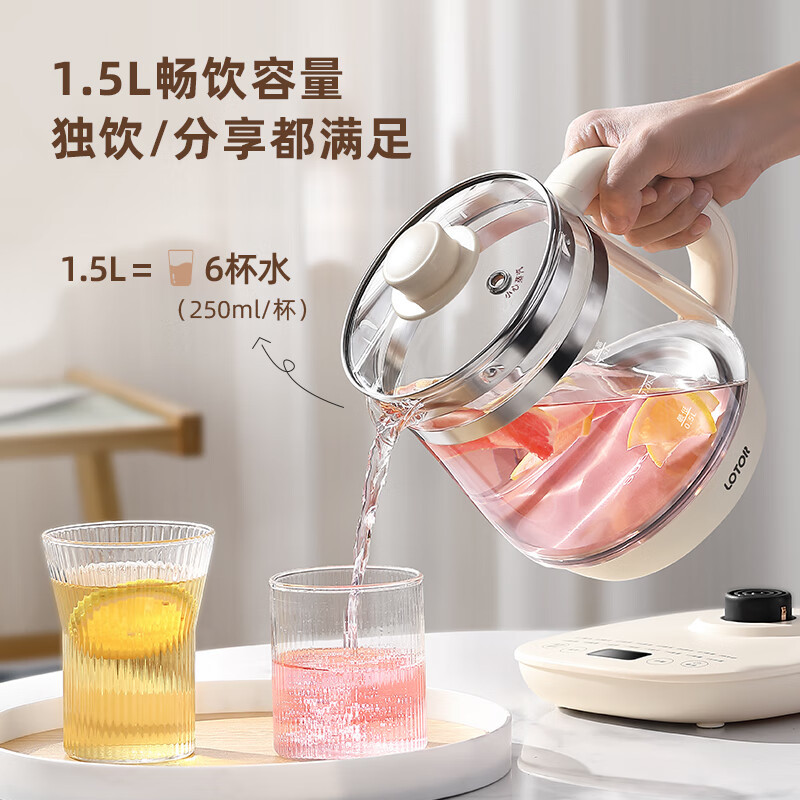 小浣熊养身壶H18