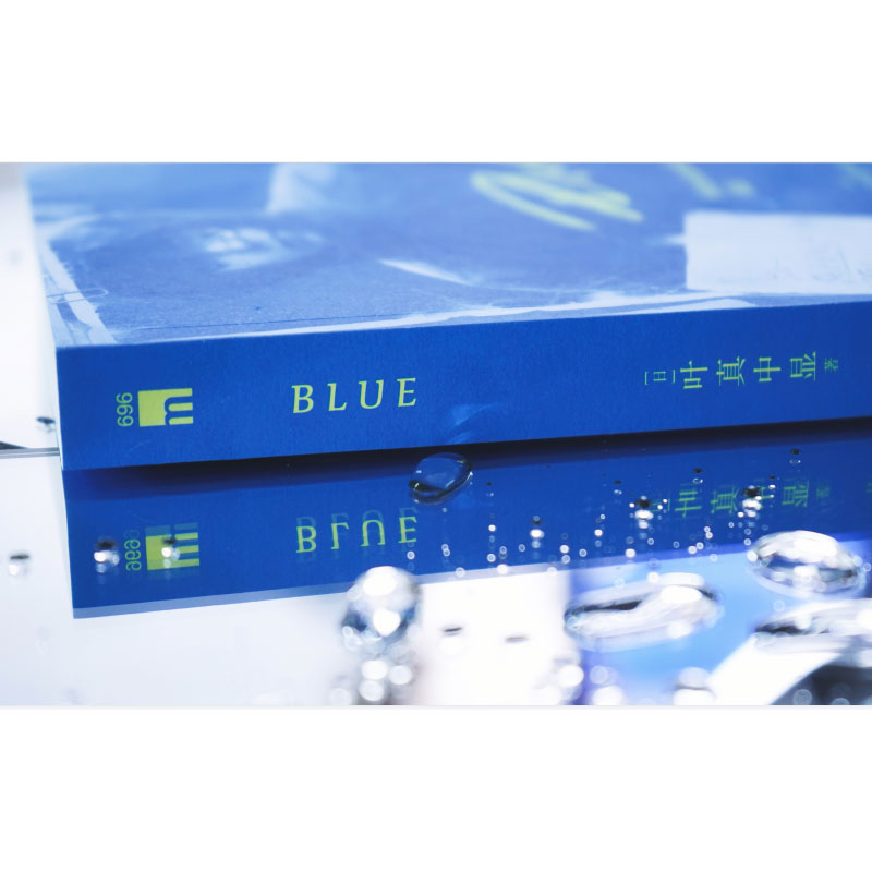 Blue[主图款] [正版] Blue 叶真中显 书籍 小说 绝叫的作者 午夜文库系列日本社会派推理小说书侦探推理悬高清大图